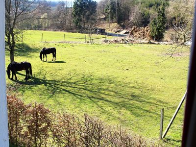 Fensterausblick Ferienwohnung Peitz Lochtrop