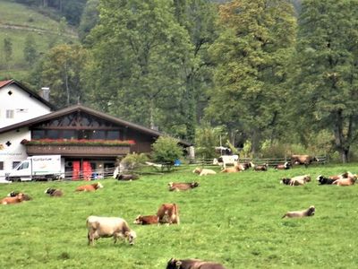 Ferienwohnung für 2 Personen (50 m²) in Ettal 4/10