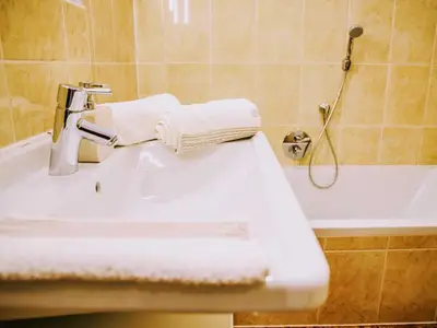 Ferienwohnung für 4 Personen (56 m²) in Ettenheim 8/10