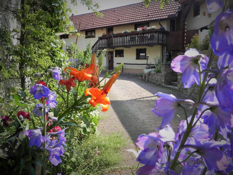 19194604-Ferienwohnung-3-Eußenheim-800x600-2