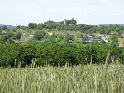 Die Ruine Homburg Gössenheim