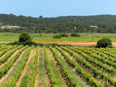 DOMAINE-DE-PARAZOLS_20220521_09