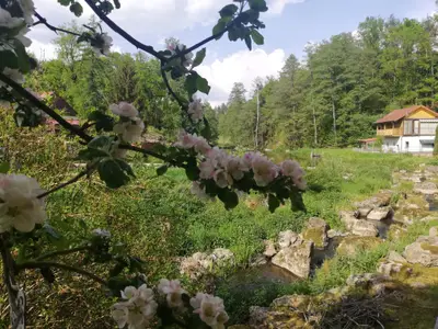 Ausblick von Terrasse