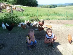 Ferienwohnung für 2 Personen (60 m²) in Falkenstein (Bayern)