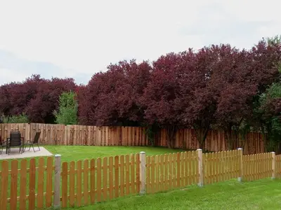 Ferienwohnung für 3 Personen (50 m²) in Falkenstein (Harz) 10/10