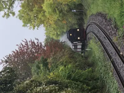 Ferienwohnung für 2 Personen (35 m²) in Falkenstein (Harz) 9/10