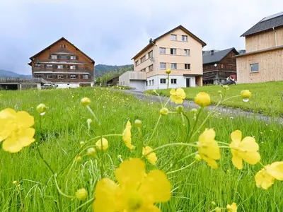 Ferienwohnung für 5 Personen (63 m²) in Egg 2/10