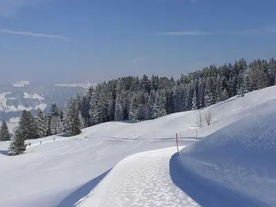 Ferienwohnung für 5 Personen (100 m²) in Egg 2/10