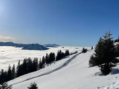 Ferienwohnung für 5 Personen (100 m²) in Egg 3/10