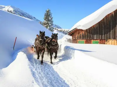 Ferienwohnung für 5 Personen (100 m²) in Egg 4/10