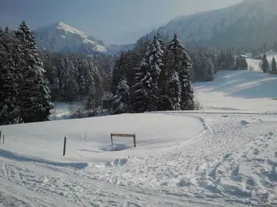 Ferienwohnung für 5 Personen (100 m²) in Egg 6/10