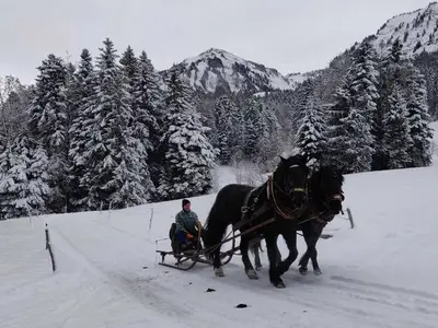 Ferienwohnung für 5 Personen (100 m²) in Egg 8/10