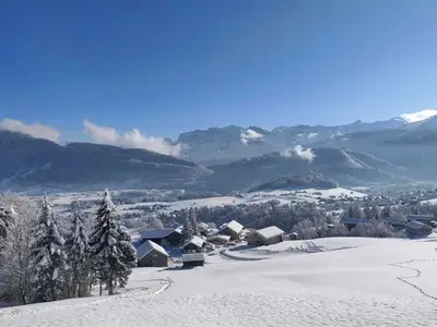 Ferienwohnung für 5 Personen (100 m²) in Egg 9/10