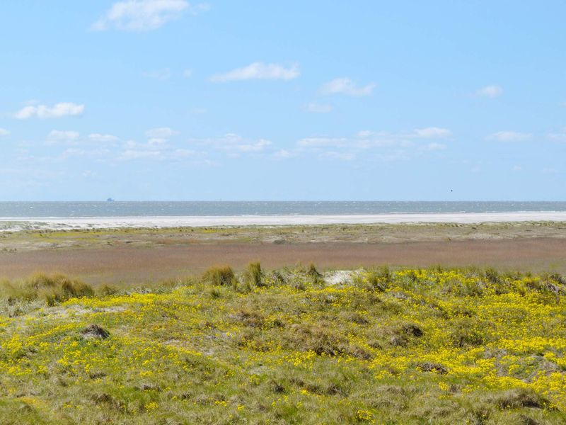 21936119-Ferienwohnung-4-Fanø-800x600-0