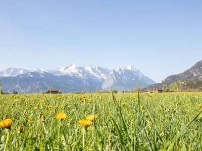 Ferienwohnung für 4 Personen (65 m²) in Farchant 6/10
