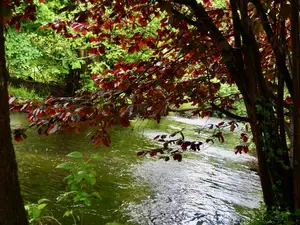 Ferienwohnung für 2 Personen (30 m²) in Müden (Örtze)