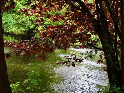 Garten an der Örtze