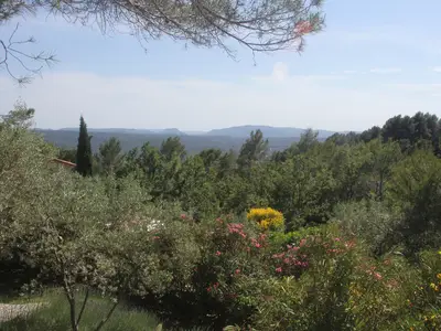 ViewSummer