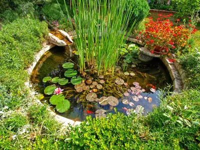 Ferienwohnung für 4 Personen (45 m²) in Valbandon 4/10