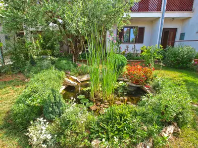 Ferienwohnung für 4 Personen (45 m²) in Valbandon 8/10