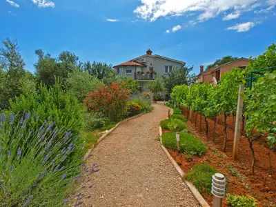 Ferienwohnung für 4 Personen (40 m²) in Fažana 4/10