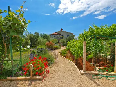 Ferienwohnung für 4 Personen (35 m²) in Fažana 7/10