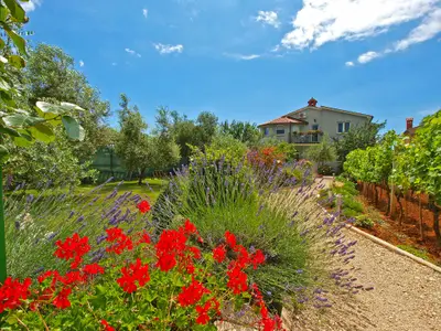 Ferienwohnung für 4 Personen (35 m²) in Fažana 2/10
