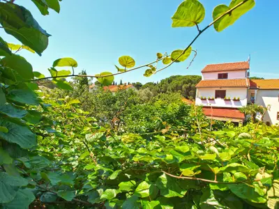 Ferienwohnung für 5 Personen (70 m²) in Valbandon 8/10