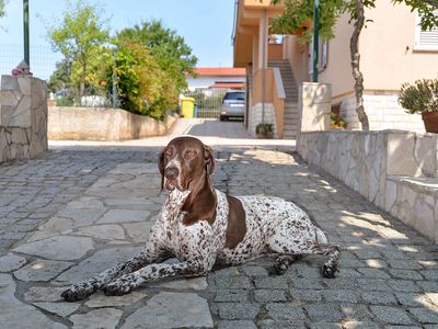 Ferienwohnung für 4 Personen (45 m²) in Fažana 4/10