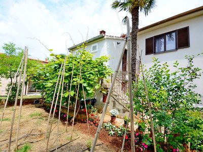 Ferienwohnung für 4 Personen (30 m²) in Fažana 1/10