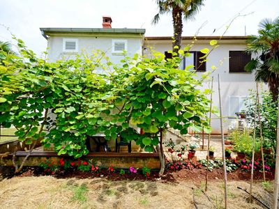 Ferienwohnung für 4 Personen (30 m²) in Fažana 5/10