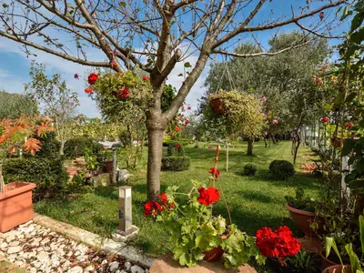 Ferienwohnung für 4 Personen (40 m²) in Fažana 4/10