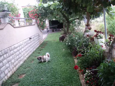 Ferienwohnung für 4 Personen (55 m²) in Fažana 10/10