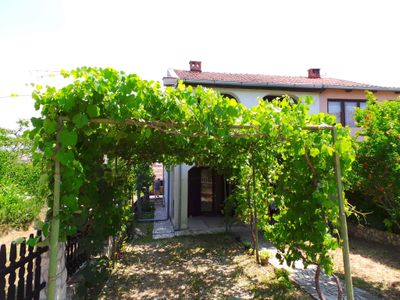 Ferienwohnung für 4 Personen (40 m²) in Fažana 6/10