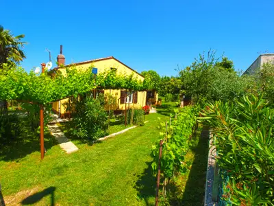 Ferienwohnung für 5 Personen (65 m²) in Fažana 5/10