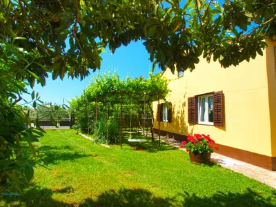 Ferienwohnung für 5 Personen (65 m²) in Fažana 8/10