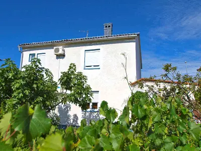 Ferienwohnung für 5 Personen (50 m²) in Fažana 2/10