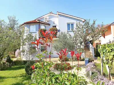 Ferienwohnung für 4 Personen (38 m²) in Fažana 1/10