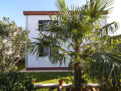 Ferienwohnung für 4 Personen (75 m²) in Fažana 3/10