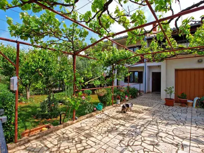 Ferienwohnung für 4 Personen (45 m²) in Fažana 1/10