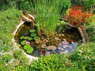 Ferienwohnung für 4 Personen (45 m²) in Fažana 5/10