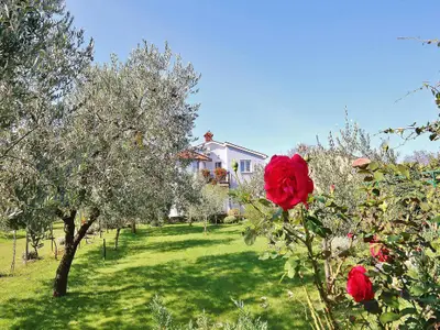 Ferienwohnung für 4 Personen (38 m²) in Fažana 5/10