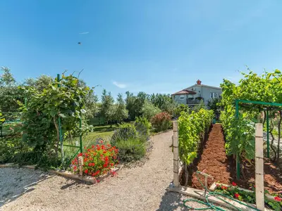 Ferienwohnung für 4 Personen (40 m²) in Fažana 8/10