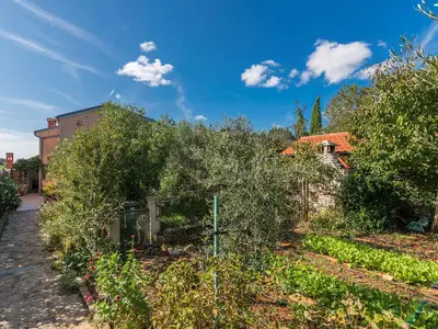 Ferienwohnung für 4 Personen (53 m²) in Fažana 4/10