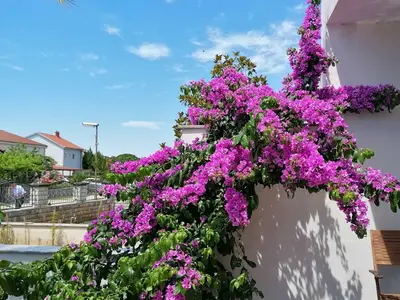 Ferienwohnung für 7 Personen (88 m²) in Fažana 5/10