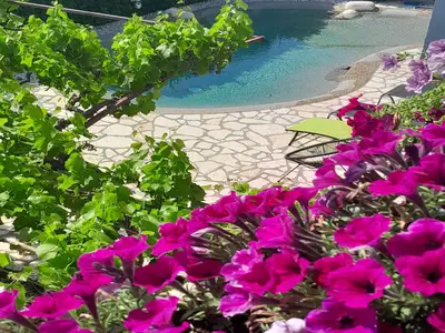 Ferienwohnung für 4 Personen (85 m²) in Valbandon 7/10