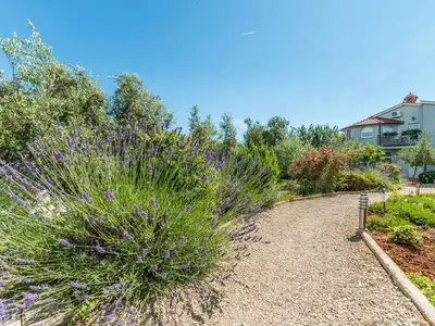 Ferienwohnung für 4 Personen (40 m²) in Fažana 7/10