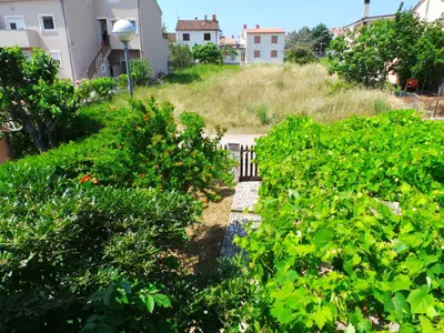 Ferienwohnung für 4 Personen (40 m²) in Valbandon 6/10