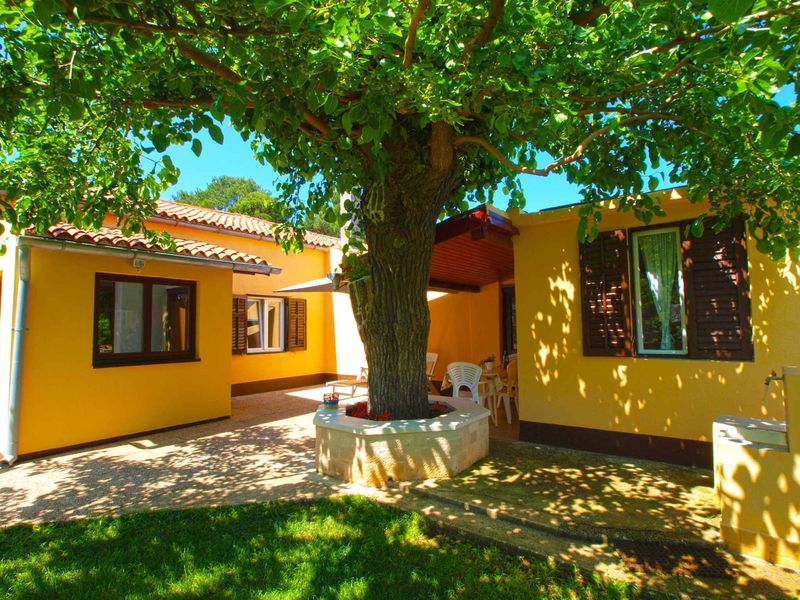 23769835-Ferienwohnung-5-Fažana-800x600-2