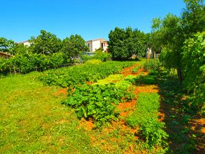 23769835-Ferienwohnung-5-Fažana-300x225-5